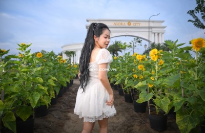 Sổ hồng trao tay căn cuối cùng Nhà Phố 4 tầng Agora City 112m2 (7x18): 1,8 tỷ. Mr. Sơn 0933828233